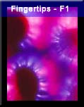 Fingertips - F1
