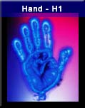 Hand - H1